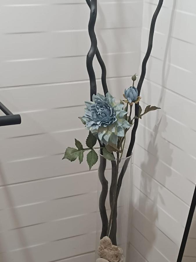 Apartament Anfiteatre Roma Tarragona Ngoại thất bức ảnh